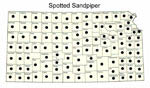 KANSAS_spotted_sandpiper_RGB_4in.jpg