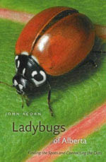 dots-ladybugs_RGB.jpg
