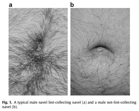 lint_paper_detail_BW.jpg