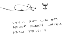 Thirsty Rat?
