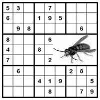 Sudoku.jpg Sudoku.jpg