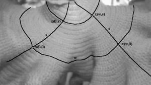 figure8.jpg