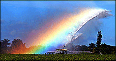 InterfaxPeacPrizeImage.jpg