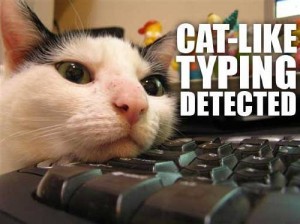Cat-Like Typing Detected