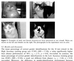 RESEARCH_cat-faces_FACES_266BW