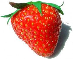 Strawberry - Image from Wikimedia Commons