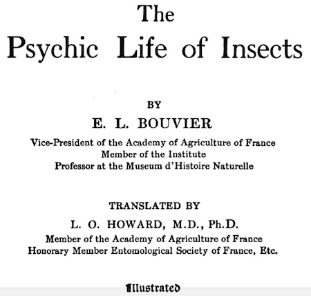 psychiclifeinsects