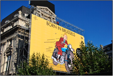 tintin-image-from-study