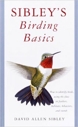BirdingBasics