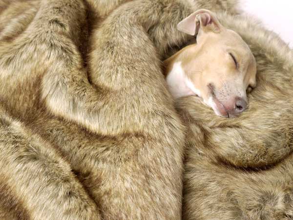 faux-fur-blanket-foxy-03