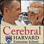 Harvard Extension - Cerebral